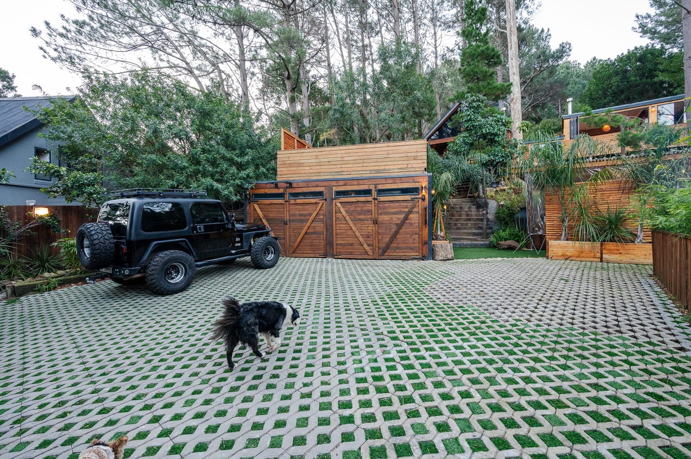 The parking court with a border collie crossing the grass-block paving
