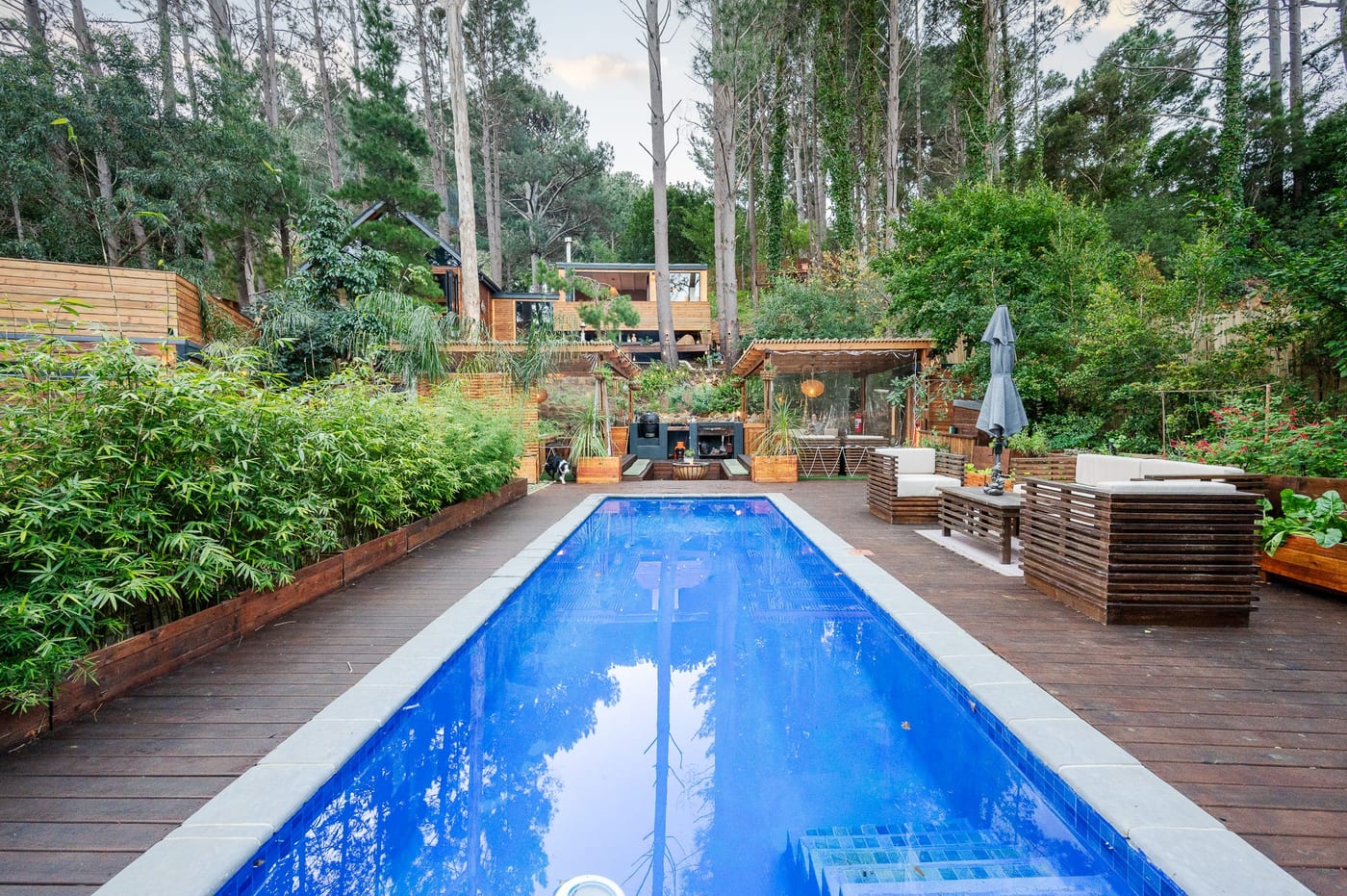 The pool running the length of the timber deck, bamboo screening one side