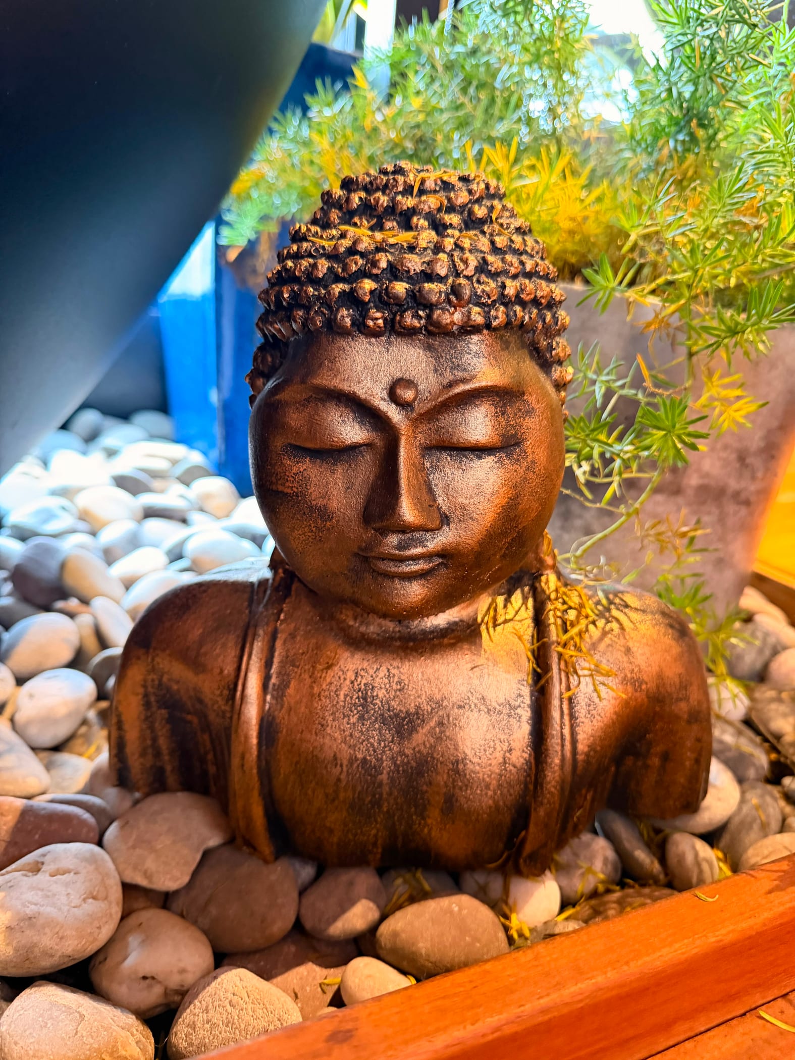 Zen Garden Buddha